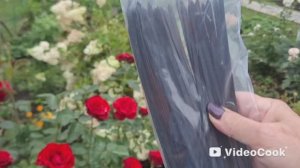 Vlog/89/ Два дня на даче/Поведение мамули/ Покупки в Чижике/ Завтраки..