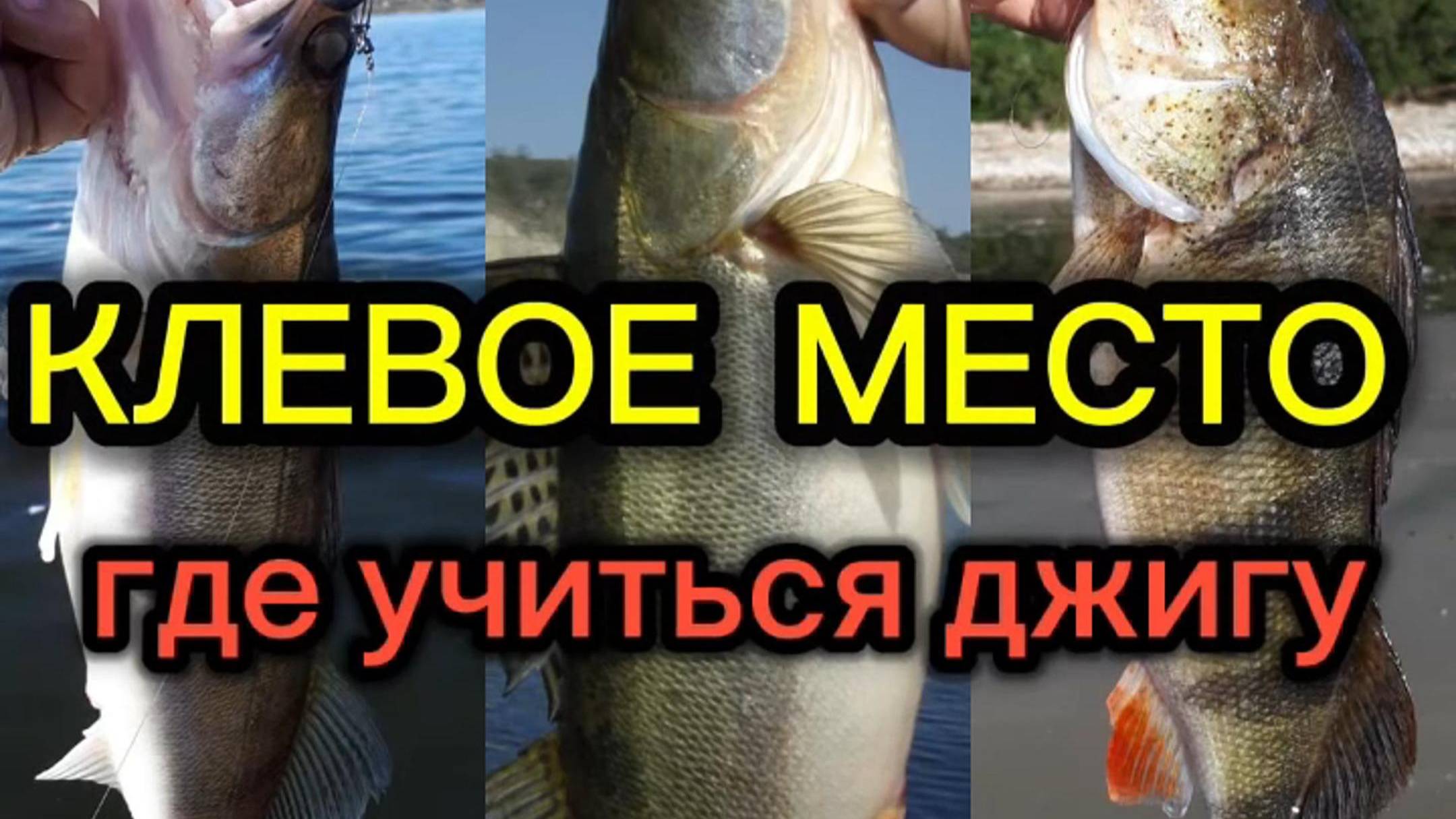 Место где можно учиться ловить на ДЖИГ vovabeer