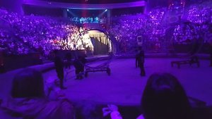 Большой Московский Государственный Цирк и100рия Эдгард и Аскольд Запашные