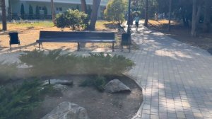 Август 2025 года. Парк рядом с бутик-отелем