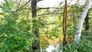 Нетронутая природа в черте города