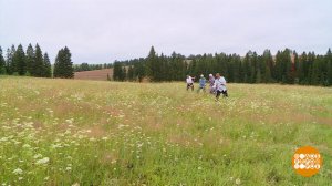 Август. Поле. Сенокос... Доброе утро. Фрагмент выпуска от 06.08.2025