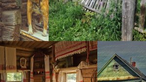 ---Затерявшиеся года---