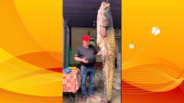 83 кг. счастья. Вот это улов