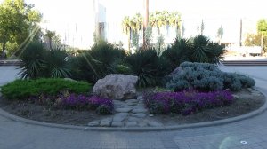 куда можно сводить ребёнка 5 лет в дагомысе