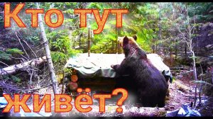 Прошёл до избушки медведи приходили не тронули заготовка дров подготовка промыслу поднимаю капканы