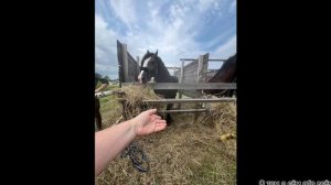 Гаврилов Посад фестиваль Русских традиций День13