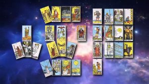 Что из себя представляет ДНК