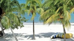 Боб Синклер 💿 . Настроение Порламар  🌊🐚🐬