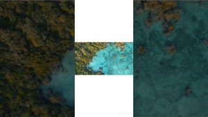 video-output-D33E6D56-397A-4F3C-B90C-0210BFD23F8C-1