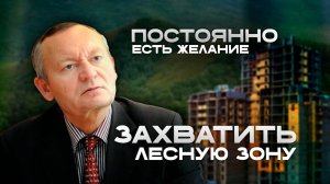 Гениатулин о борьбе за лес от Северного до Соснового Бора