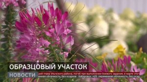 Образцовый участок: цветочное царство на даче. Новости. 07/08/2025. GuberniaTV