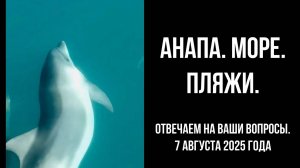 Анапа, море, пляжи, 7 августа 2025 года, отвечаем на вопросы
