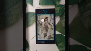 Для начинающих.Таро Манара.Младшие арканы.Слуга Воды.