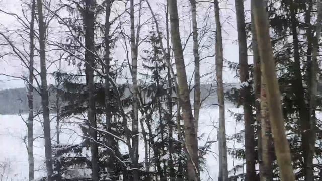 Психология жизни