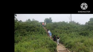 шепот скорых колес