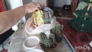 Уха из головы) Рагу в мультиварке) Новости от мужа) Пересаживаю кактусы)))