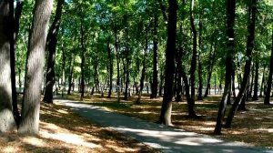 дайте воли.