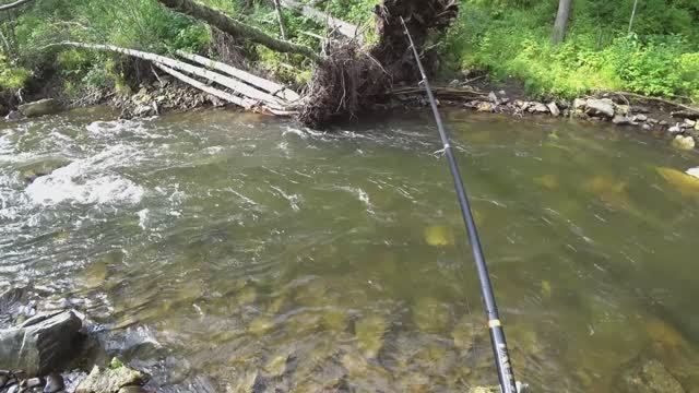 Эта Речка в ТАЙГЕ Забита РЫБОЙ Попали на КЛЁВ Крупного ХАРИУСА РЫБАЛКА в Непролазной Тайге!!!