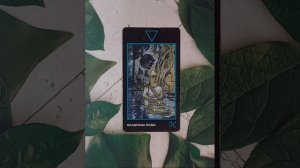 Для начинающих.Таро Манара.Фигурные арканы.Всадница Воды.