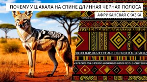 Почему у шакала на спине длинная чёрная полоса. Африканская сказка.