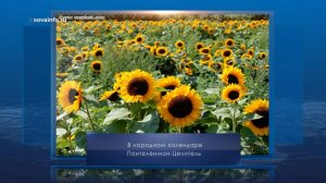 Пантелеимон-Целитель. Календарь Губернии от 9 августа