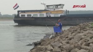 Фидер с Цамматаро. Нидерланды. Река Ваал