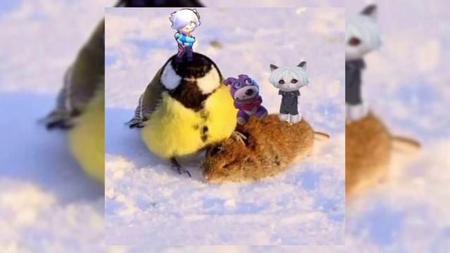 Do you love me _ LuxaPur feat. Бонни Карпов смотреть онлайн