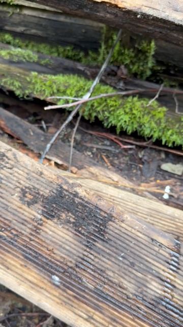 терраса к дому смотреть онлайн