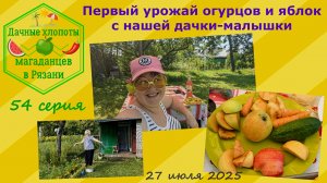 Первый урожай огурцов и яблок с нашей дачки-малышки. Конец июля. 54 серия дачных хлопот