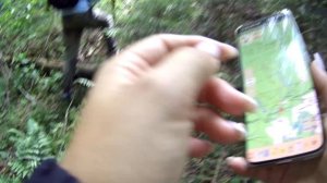 Я перешла реку, чтобы оцифровать кладбище