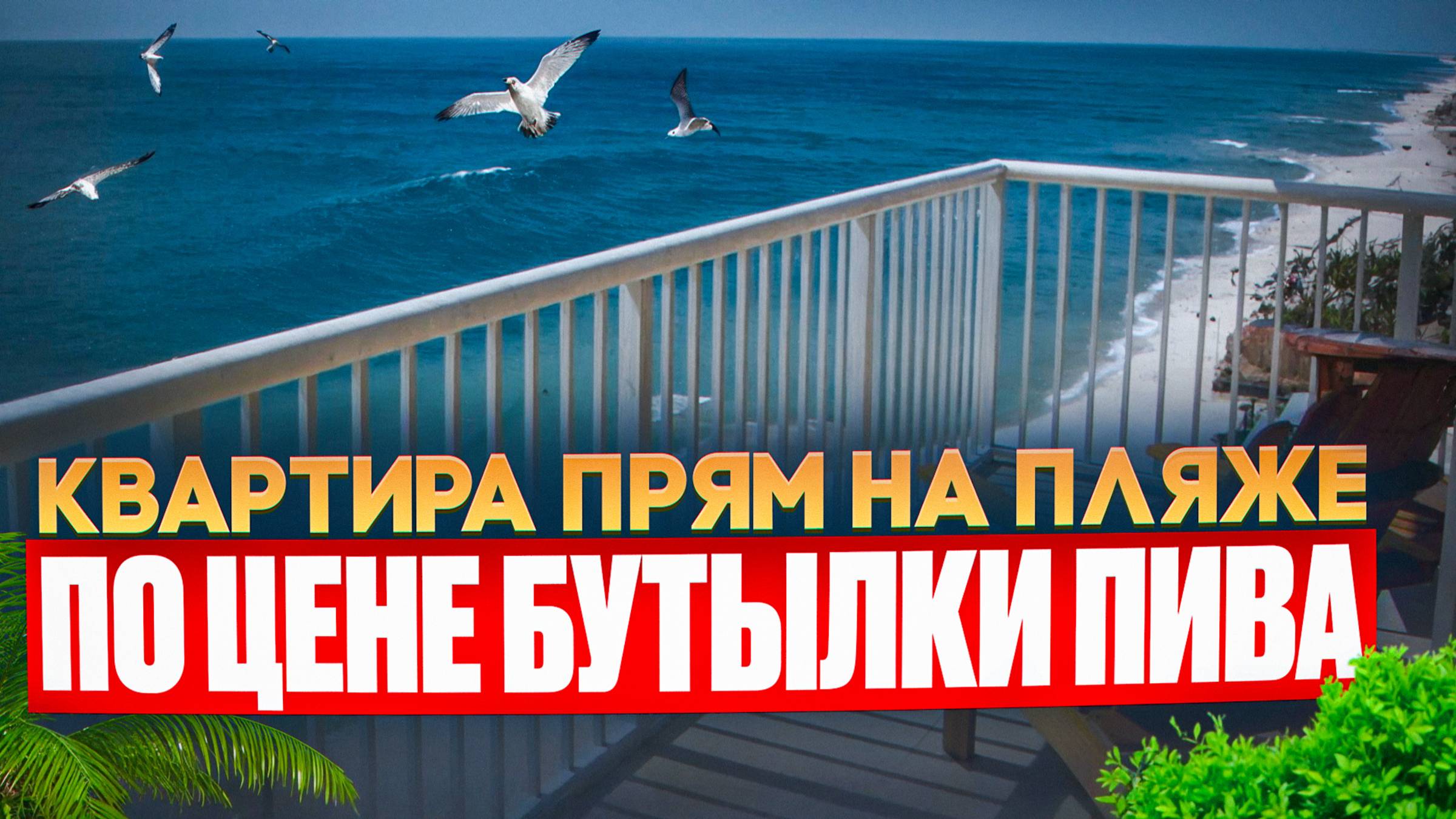 Лучшие квартиры в Сочи на первой береговой! смотреть онлайн