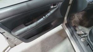 Как снять обшивку передних дверей Toyota Corola 👍