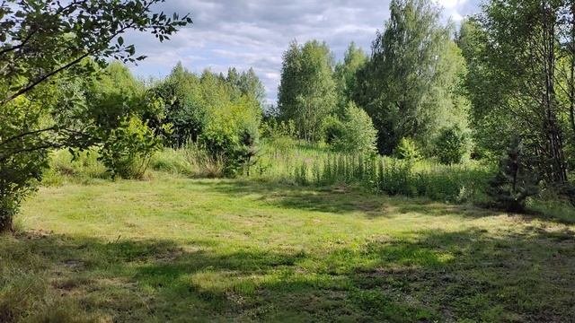 Из поездки 07-08-2025 #лето #хорошеенастроение #навелосипеде #велопрогулка