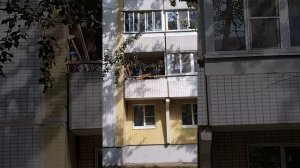 Геопатогенная зона