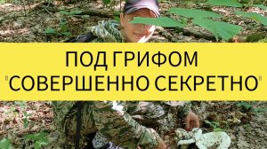 Грибы сбор грузди сыроежки дубовики подосиновики