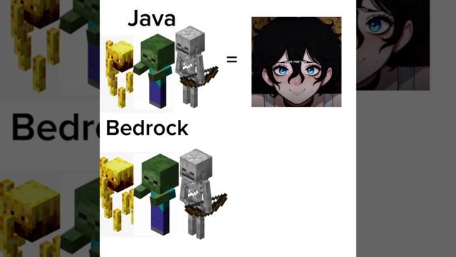 Java vs Bedrock
