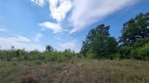 Продажа Земля Саратов Сабуровка 89033801999