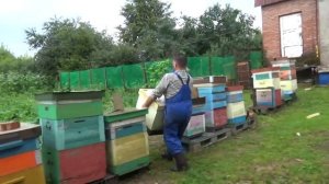 Роем из ловушки, исправляем злую семью.