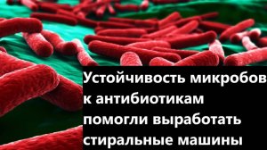 Устойчивость микробов к антибиотикам помогли выработать стиральные машины