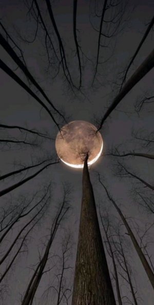 всем привет