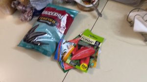 Наготовил долму !  А погода делает сюрприз! И покупаю семена на следующий год