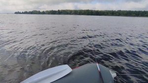 Волга 06.08.25.г