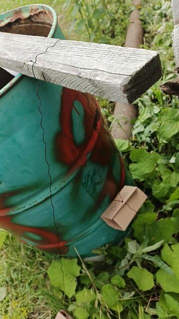 ловушка для зайца.