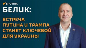 Белик: встреча Путина и Трампа станет ключевой для Украины