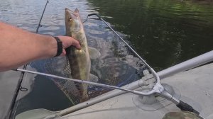 ПОЙМАЛ ЦАРСКУЮ РЫБУ!!!