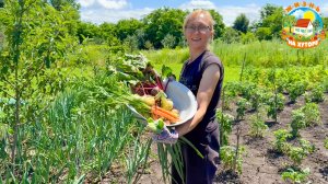 🟢УЕХАЛИ В ДЕРЕВНЮ, выращиваем овощи и строим дом своими руками.