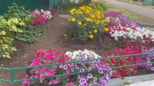 Сколько лет, страшно сказать/😉обзор теплицы:🌺🥒засолка огурцов//😋❤️