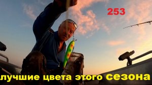 Троллинг судака. Лучшие цвета июля. 253.