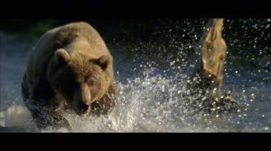 За Россию за правду за народ